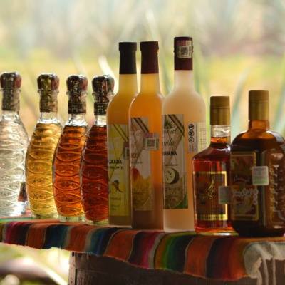 Various liquor bottles on a colorful cloth with agave plants in the background.