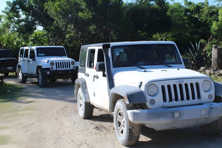 Three white Jeeps driving on a dirt road surrounded by trees.