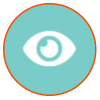 Icon of an eye inside a turquoise circle with an orange border.